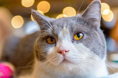 《心灵杀手2》参加夏季游戏节 6月8日亮相